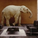 Elephant in the room