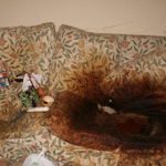 Kurtz sofa