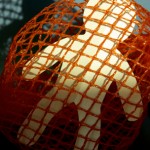 caught in a net