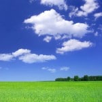 Green field - Landscape